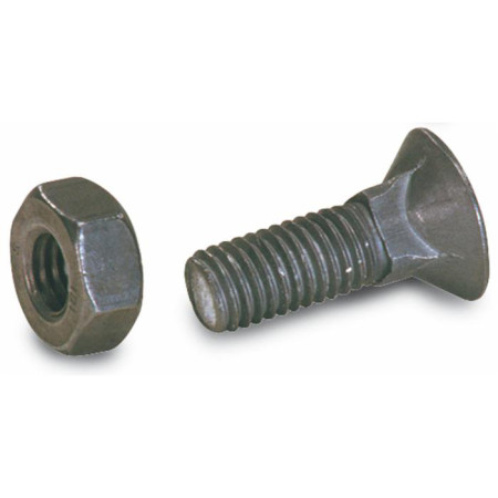 Parafuso Embutir 12x50