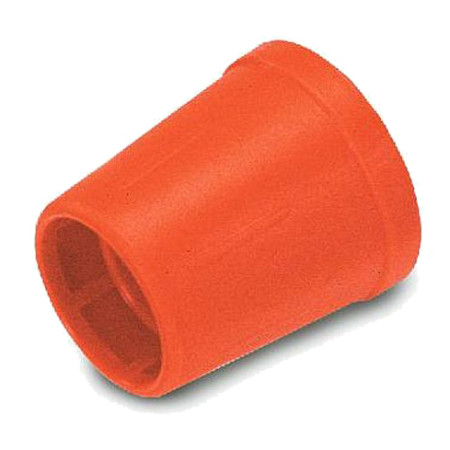 Cabeça
